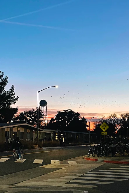 A street at dusk with a water tower and crossing cyclist.