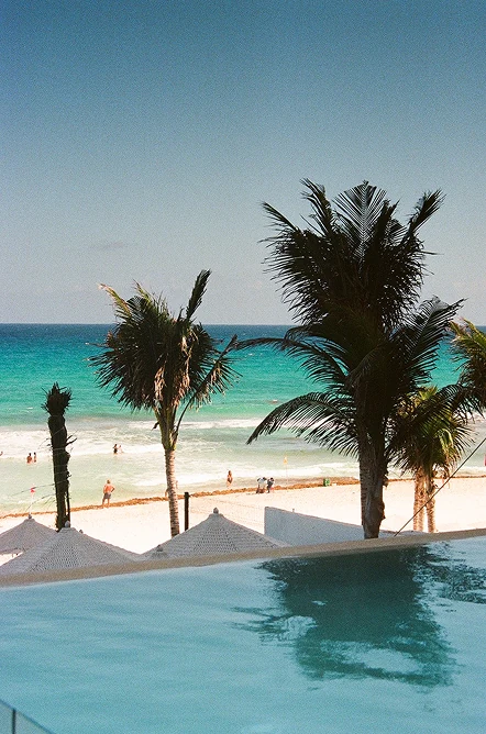 Palm trees, a beach, and a pool in bright daylight.