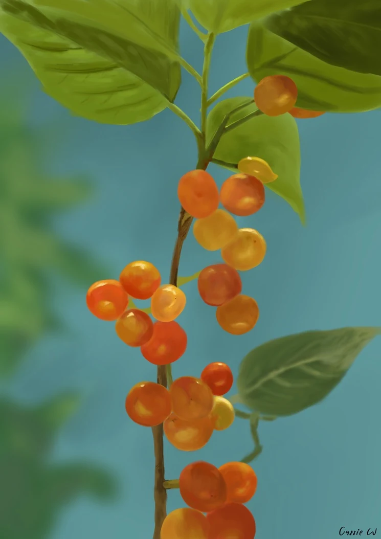 An illustrated branch with orange berries.